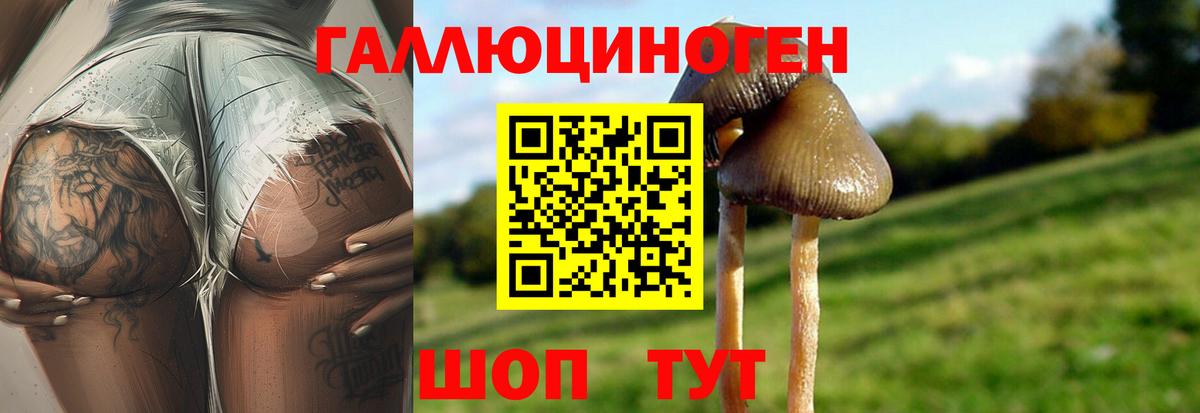Галлюциногенные грибы GOLDEN TEACHER  Вход с VPN  наркошоп  Амурск 